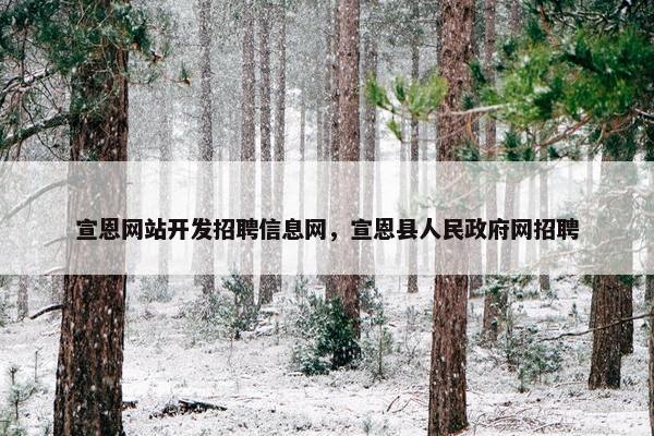 宣恩网站开发招聘信息网，宣恩县人民政府网招聘
