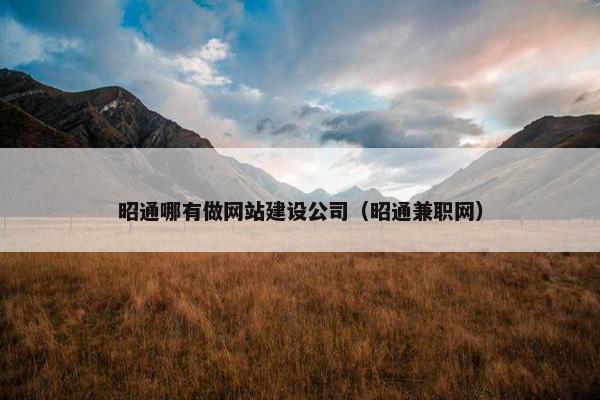 昭通哪有做网站建设公司（昭通兼职网）