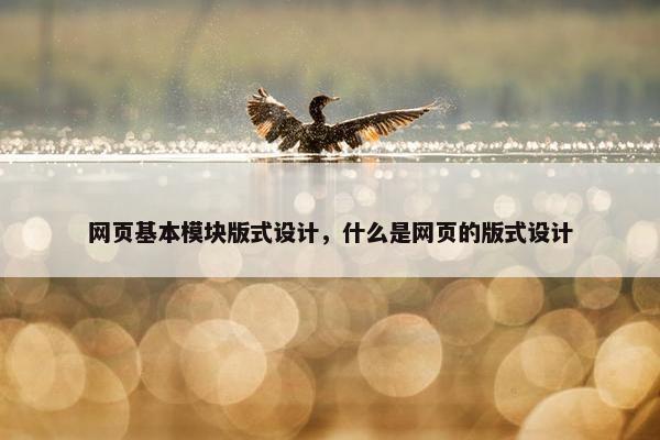 网页基本模块版式设计，什么是网页的版式设计