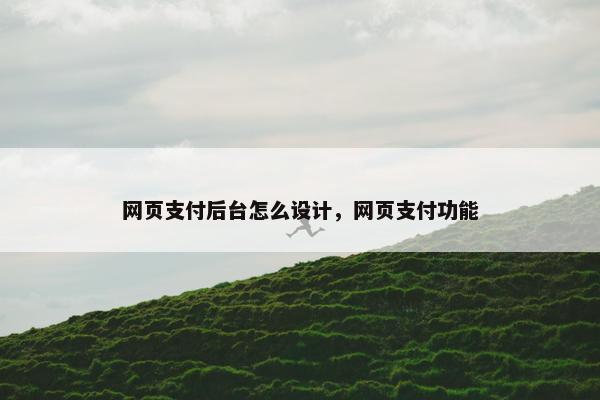 网页支付后台怎么设计，网页支付功能