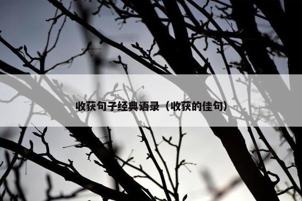 收获句子经典语录（收获的佳句）