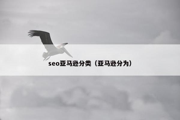 seo亚马逊分类（亚马逊分为）