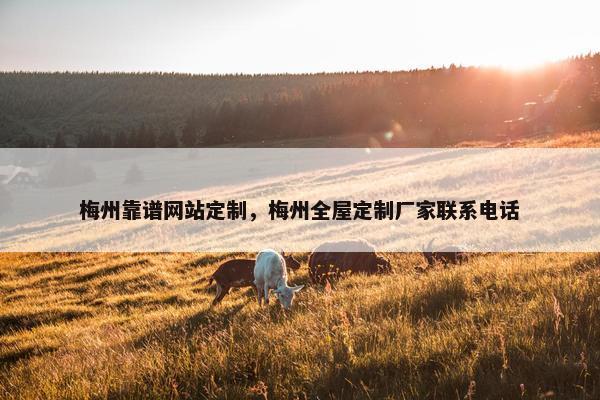 梅州靠谱网站定制，梅州全屋定制厂家联系电话