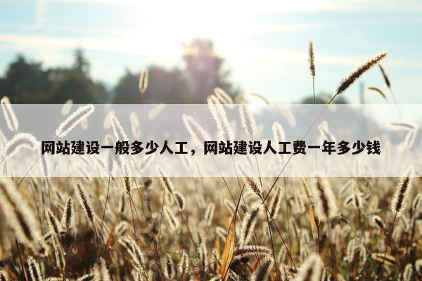 网站建设一般多少人工，网站建设人工费一年多少钱