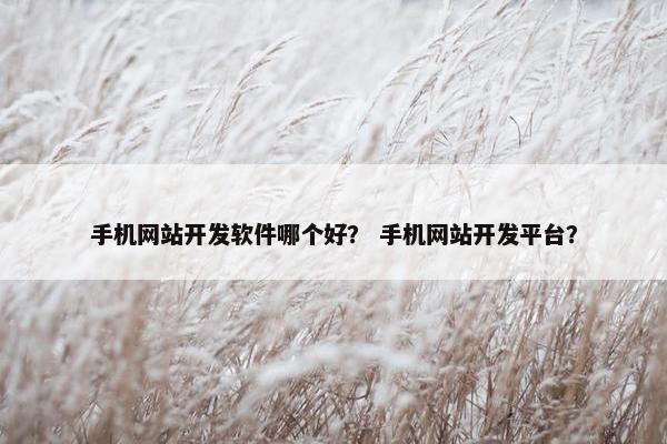 手机网站开发软件哪个好？ 手机网站开发平台？