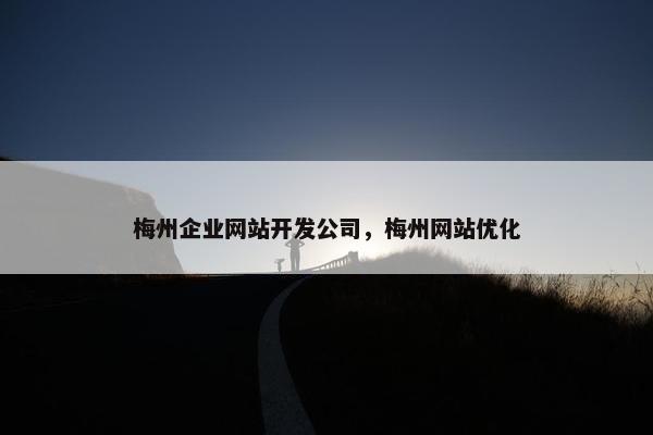 梅州企业网站开发公司，梅州网站优化