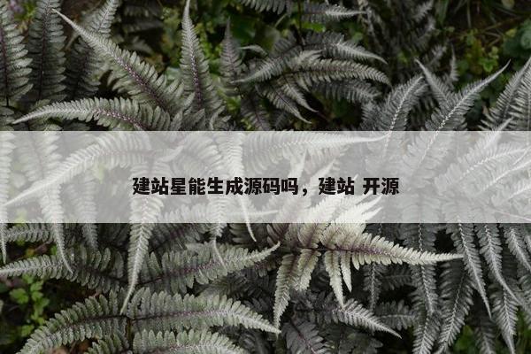 建站星能生成源码吗，建站 开源