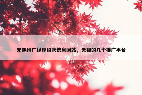 无锡推广经理招聘信息网站，无锡的几个推广平台
