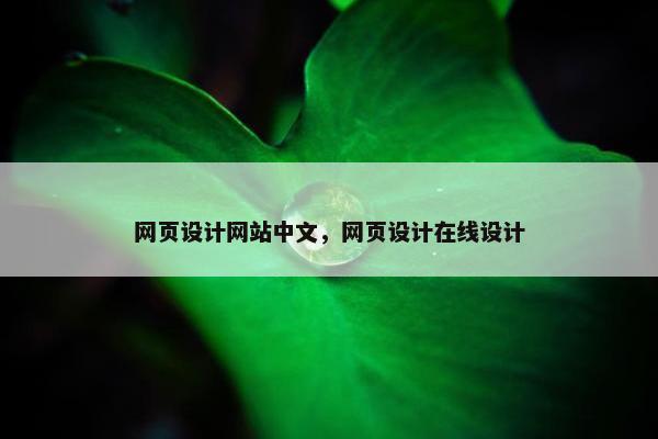网页设计网站中文，网页设计在线设计