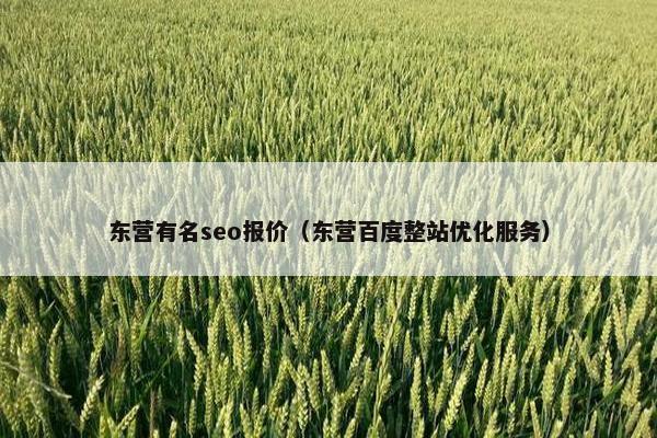 东营有名seo报价（东营百度整站优化服务）
