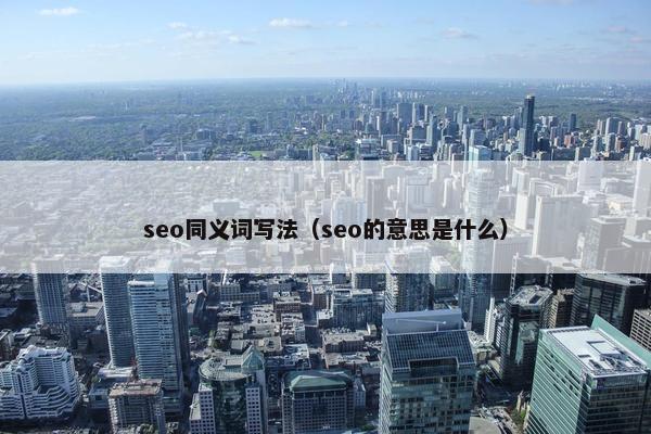 seo同义词写法（seo的意思是什么）