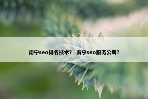 南宁seo排名技术？ 南宁seo服务公司？