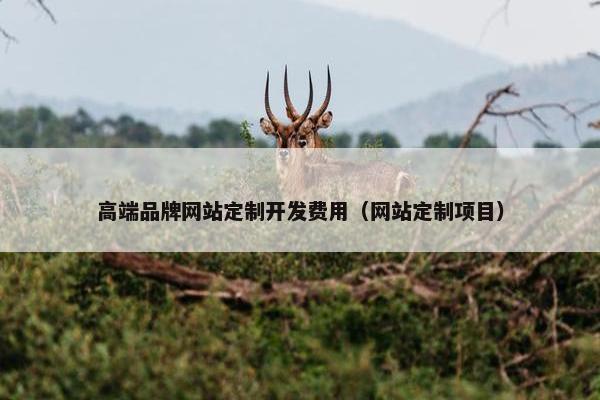 高端品牌网站定制开发费用（网站定制项目）