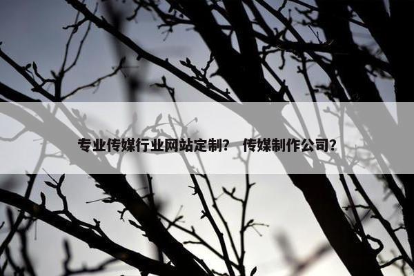 专业传媒行业网站定制？ 传媒制作公司？