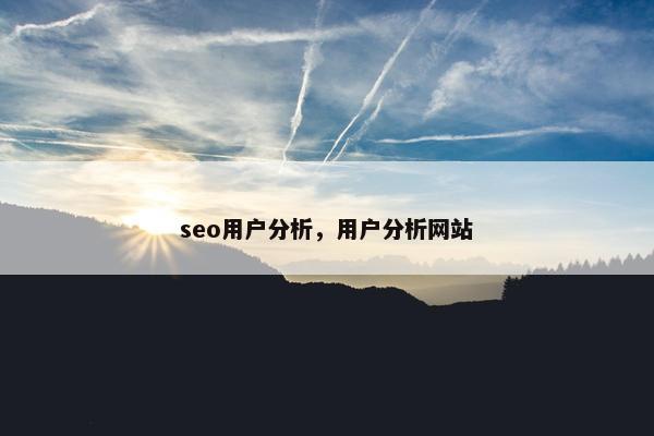 seo用户分析，用户分析网站