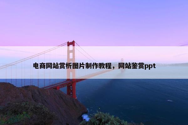 电商网站赏析图片制作教程，网站鉴赏ppt