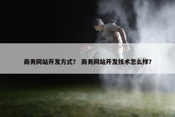 商务网站开发方式？ 商务网站开发技术怎么样？