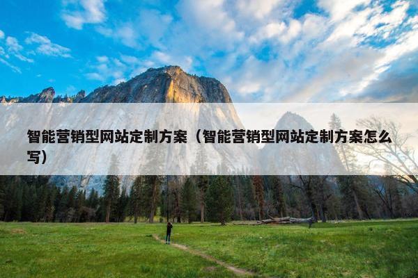 智能营销型网站定制方案（智能营销型网站定制方案怎么写）