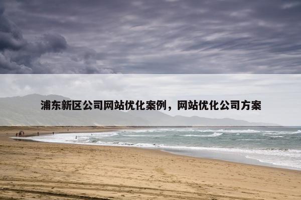 浦东新区公司网站优化案例，网站优化公司方案