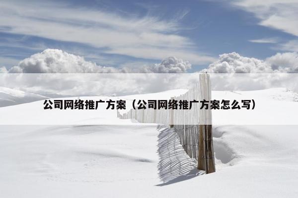 公司网络推广方案（公司网络推广方案怎么写）