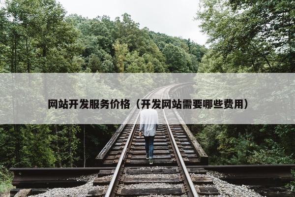 网站开发服务价格（开发网站需要哪些费用）