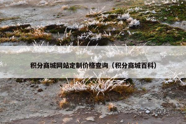 积分商城网站定制价格查询（积分商城百科）