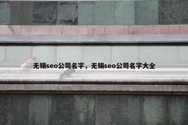 无锡seo公司名字，无锡seo公司名字大全