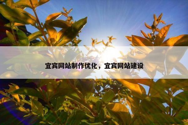 宜宾网站制作优化，宜宾网站建设