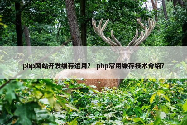 php网站开发缓存运用？ php常用缓存技术介绍？