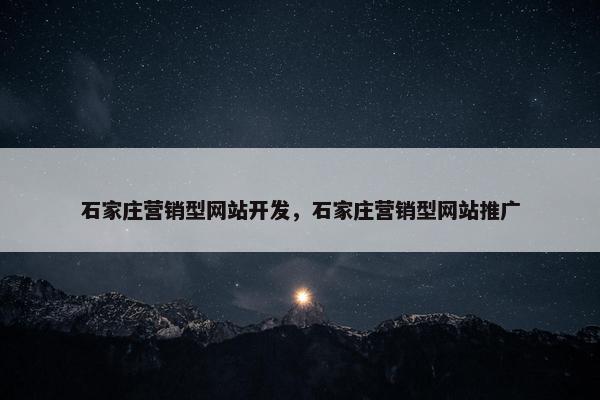 石家庄营销型网站开发，石家庄营销型网站推广