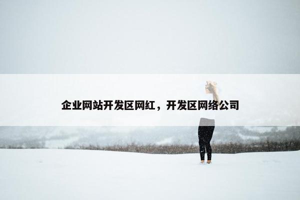 企业网站开发区网红，开发区网络公司