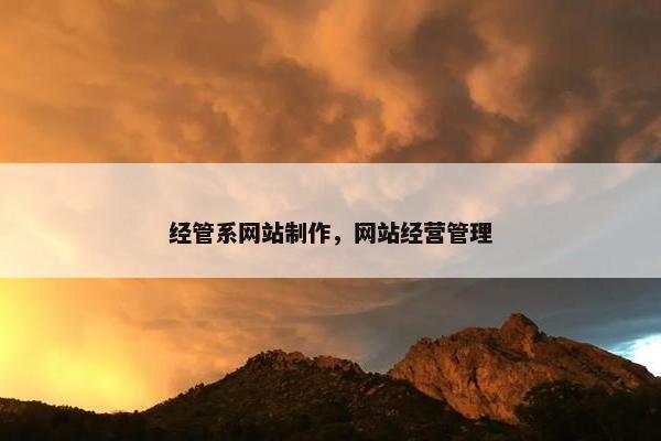 经管系网站制作，网站经营管理