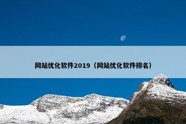 网站优化软件2019（网站优化软件排名）