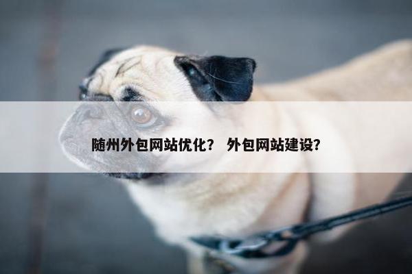 随州外包网站优化？ 外包网站建设？
