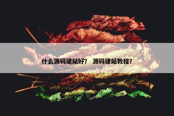 什么源码建站好？ 源码建站教程？