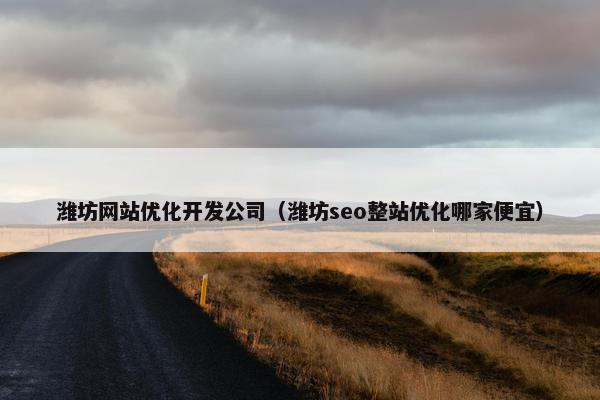 潍坊网站优化开发公司（潍坊seo整站优化哪家便宜）