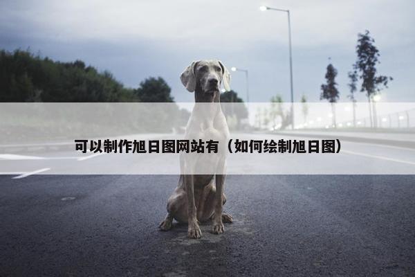 可以制作旭日图网站有（如何绘制旭日图）