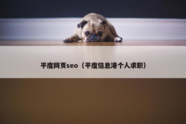 平度网页seo（平度信息港个人求职）