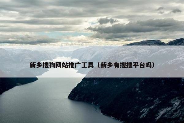 新乡搜狗网站推广工具（新乡有搜搜平台吗）