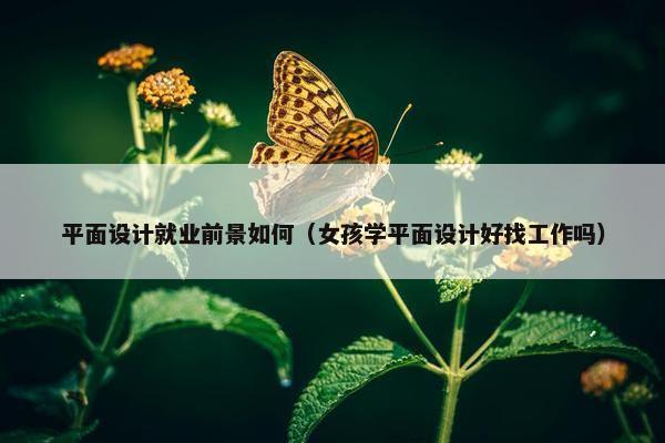 平面设计就业前景如何（女孩学平面设计好找工作吗）