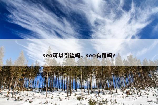 seo可以引流吗，seo有用吗?