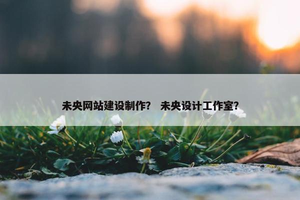 未央网站建设制作？ 未央设计工作室？