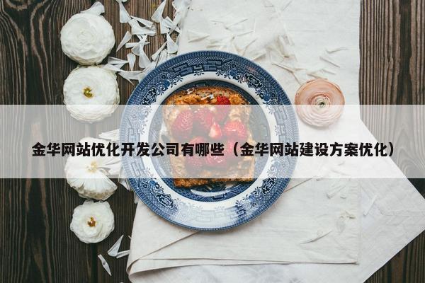 金华网站优化开发公司有哪些（金华网站建设方案优化）
