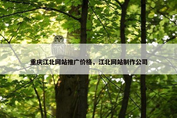 重庆江北网站推广价格，江北网站制作公司