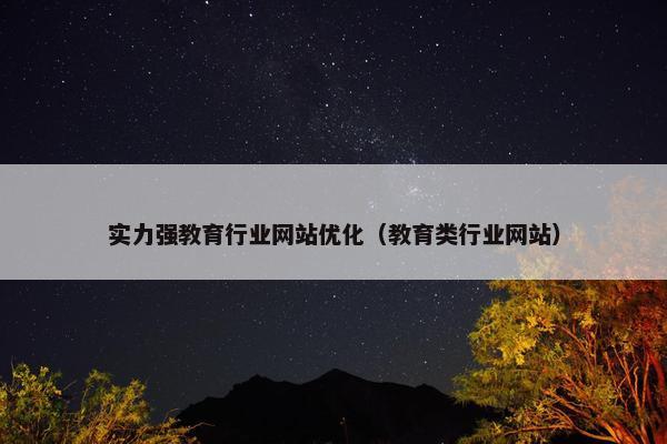 实力强教育行业网站优化（教育类行业网站）
