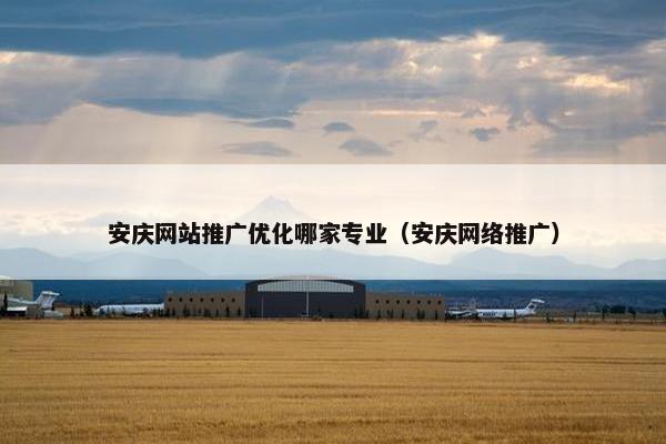 安庆网站推广优化哪家专业（安庆网络推广）