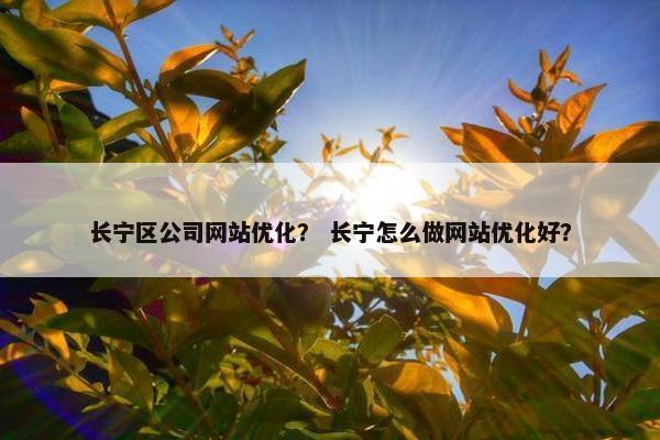 长宁区公司网站优化？ 长宁怎么做网站优化好？