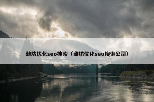 潍坊优化seo搜索（潍坊优化seo搜索公司）