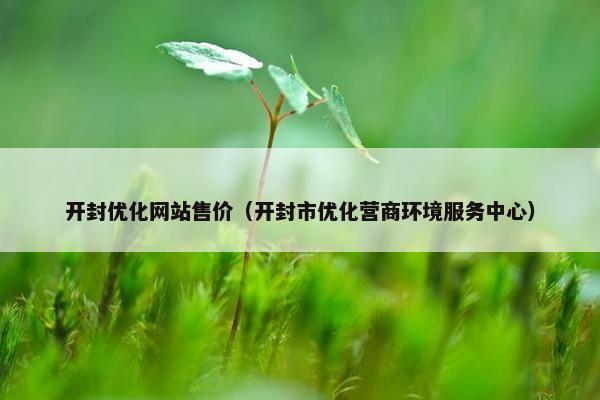 开封优化网站售价（开封市优化营商环境服务中心）