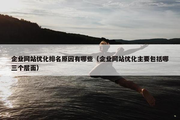 企业网站优化排名原因有哪些（企业网站优化主要包括哪三个层面）